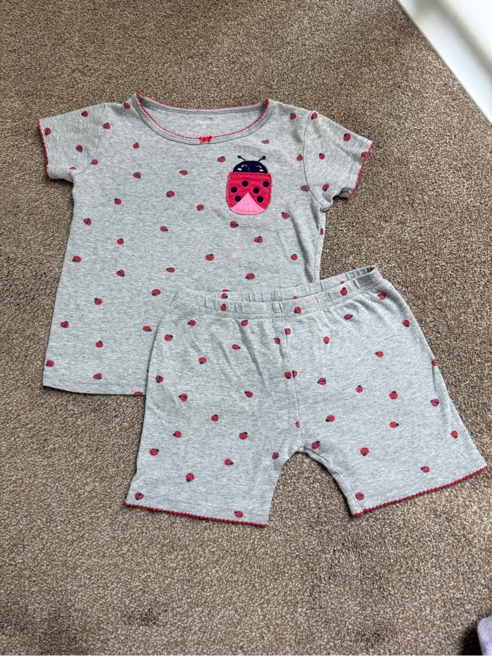 Carter's Gray and Pink Ladybug Pajama Set